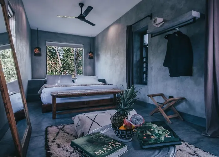 Ambre & Epices Jungle & Hotel