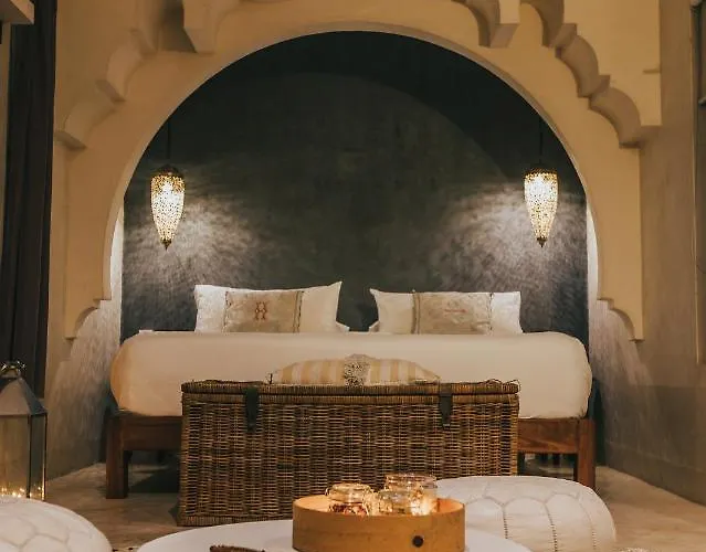 Ambre & Epices Jungle & Hotel