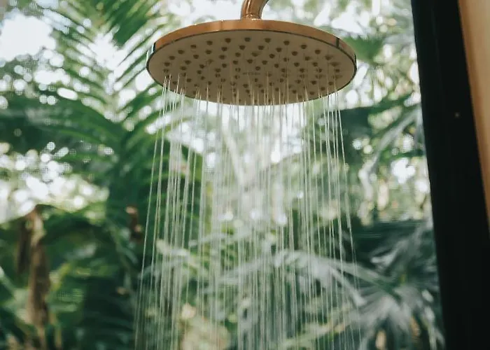 Hotel Ambre & Epices Jungle & 4*