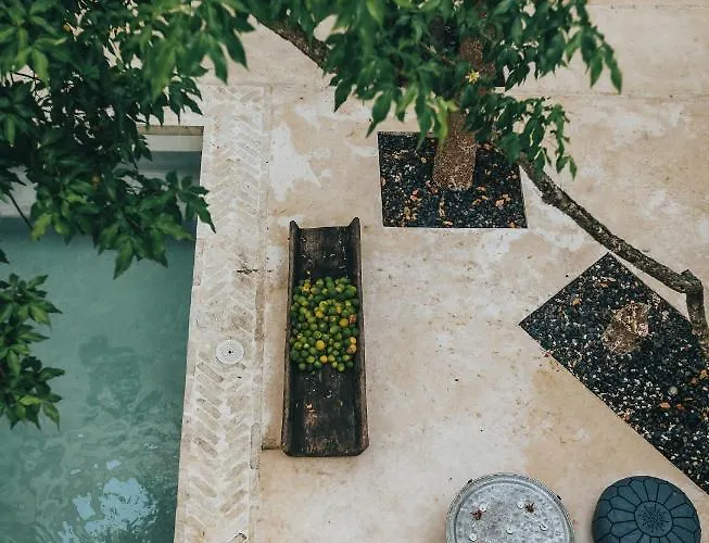 Ambre & Epices Jungle & Hotel Tulum