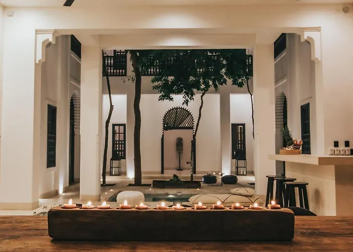 Hotel Ambre & Epices Jungle &