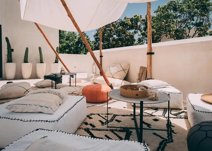 Ambre & Epices Jungle & Hotel