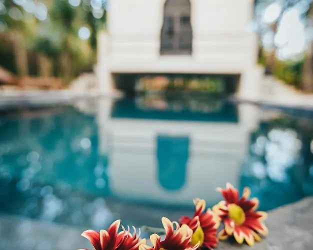 Ambre & Epices Jungle & Hotel 4*