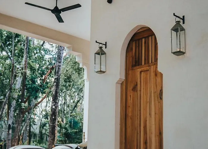 Hotel Ambre & Epices Jungle &