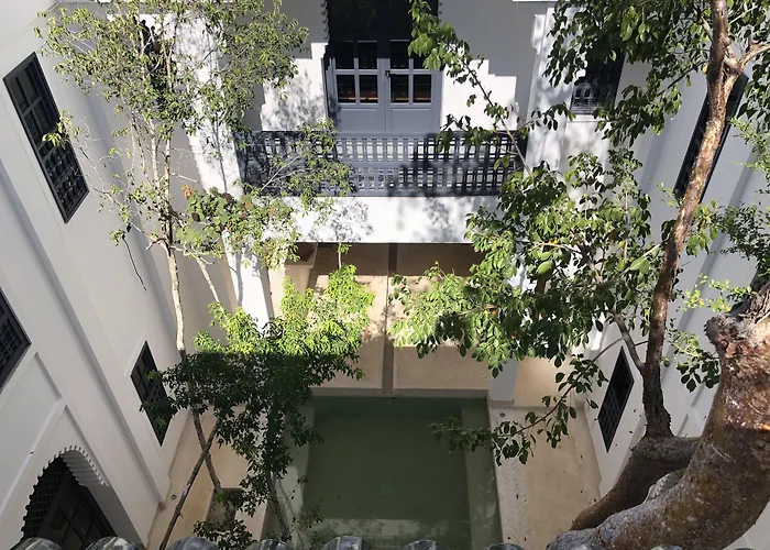 Hotel Ambre & Epices Jungle &