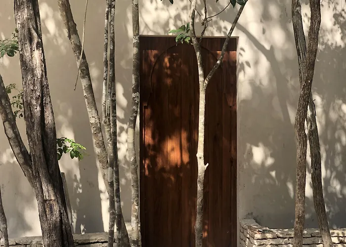 Hotel Ambre & Epices Jungle & Tulum